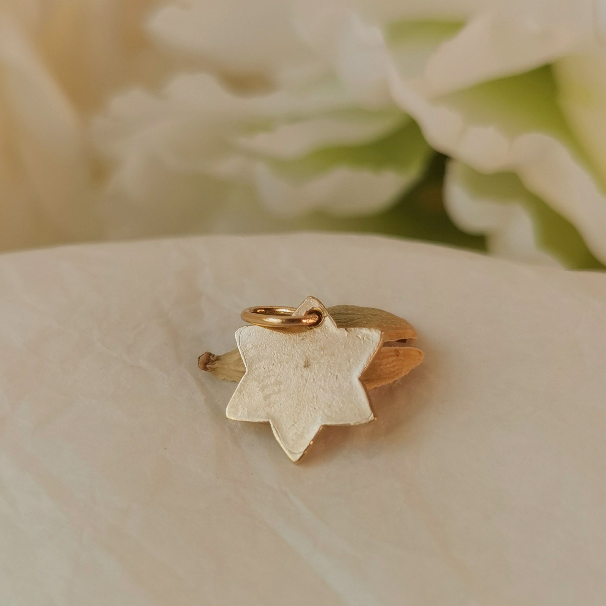 Small Gold Star of David Pendant, Gold/Silver Magen David Made in Israel